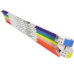 Zebra Z-Band Direct 10006995-RK RED border 25mm x 279mm 6 x 200 stuks (origineel)