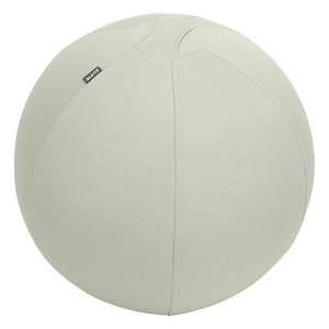 Leitz Ergo Cosy actieve zitbal / lichtgrijs / 55 cm / tot 120 kg