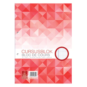 WORK 100058101 cursusblok / A4 / geruit / 100 vel