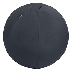 Leitz Ergo Cosy actieve zitbal / donkergrijs / 55 cm / tot 120 kg
