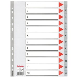 Esselte 100106 A4 index / plastic / 1-12 / 11-gaats