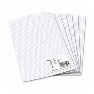Aurora accountantspapier / A4 / geruit 5 mm / 80 grams / wit / 480 vel