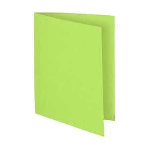 Exacompta 150013E Flash inlegmap / karton / A4 / groen / 100 stuks