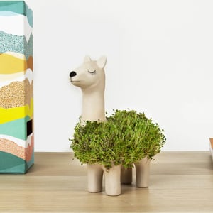 Gift Republic Plantenpot met Chiazaden / Lama