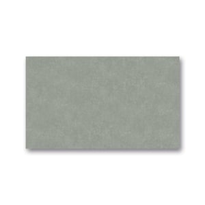 Folia zijdepapier / grijs / 50 x 70 / 26 vel