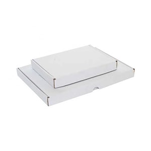 Grote inpakdoos brievenbus formaat / 305x220x28mm / wit / 20 stuks